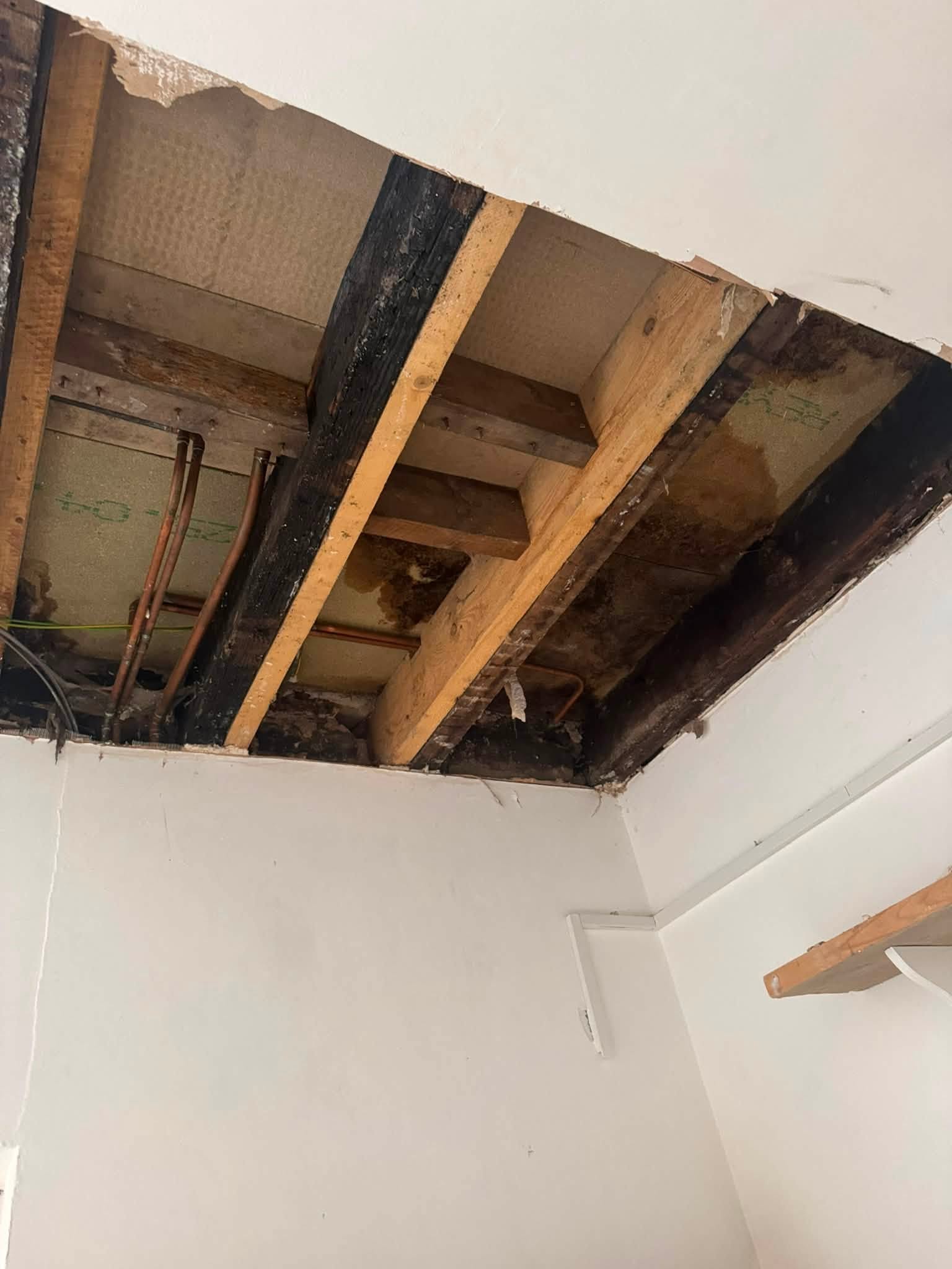 Ceiling opened up to stained joists and pipework